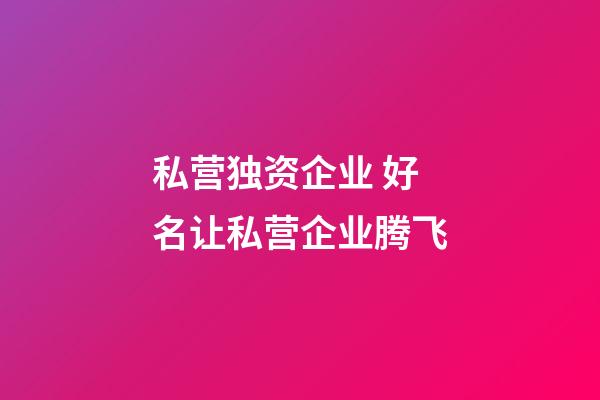 私营独资企业 好名让私营企业腾飞-第1张-公司起名-玄机派